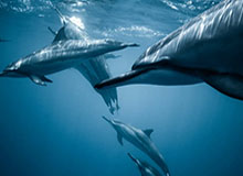 开云彩票-阿奇姆彭：做好准备迎战中超冠军 会全力以赴争胜